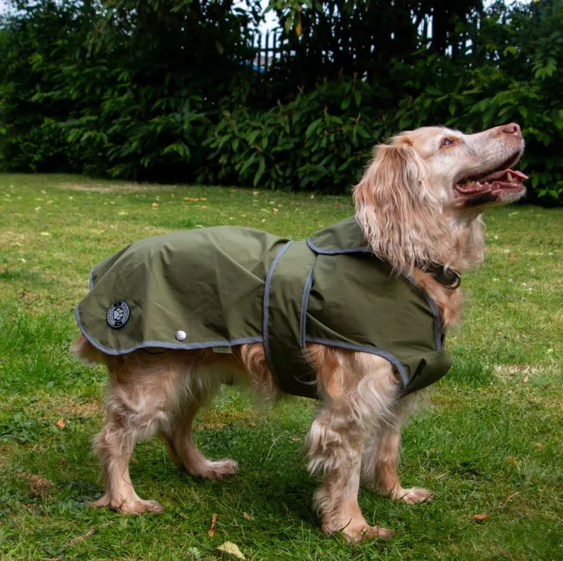 Stormguard Soft Shell Dog Coat