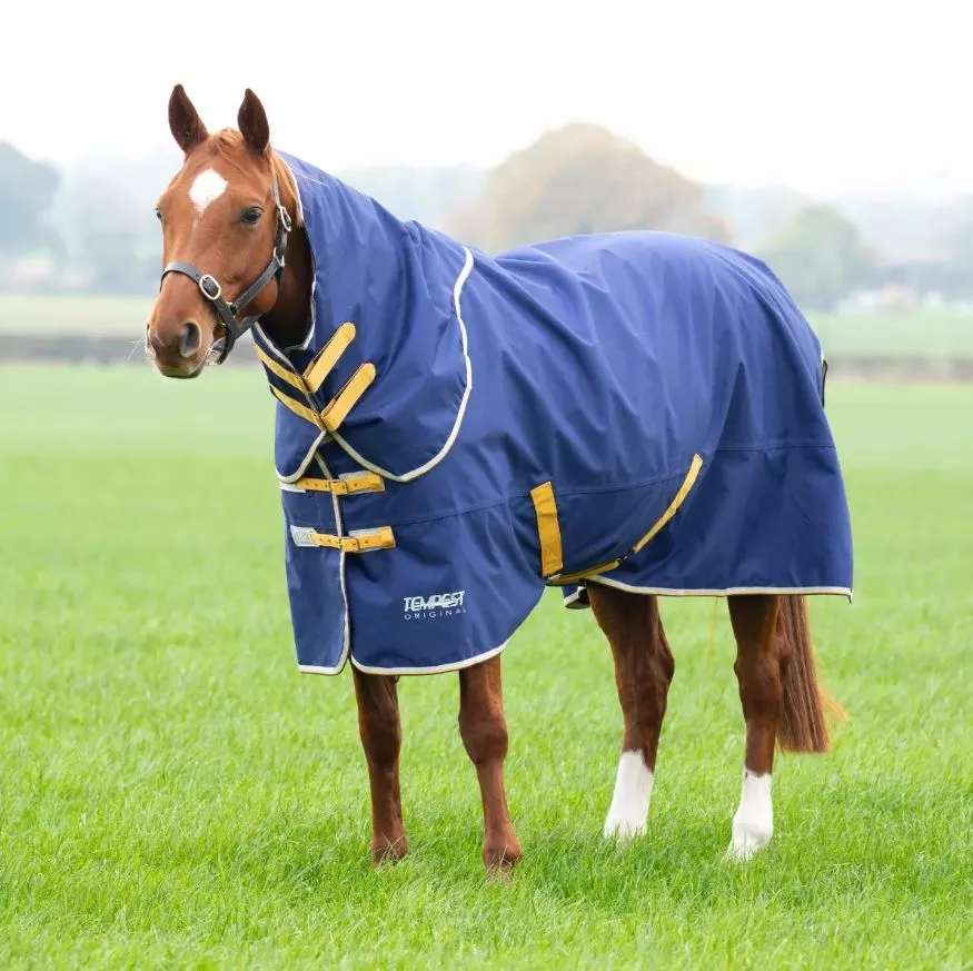 Tempest Original 50 Turnout Rug & Neck