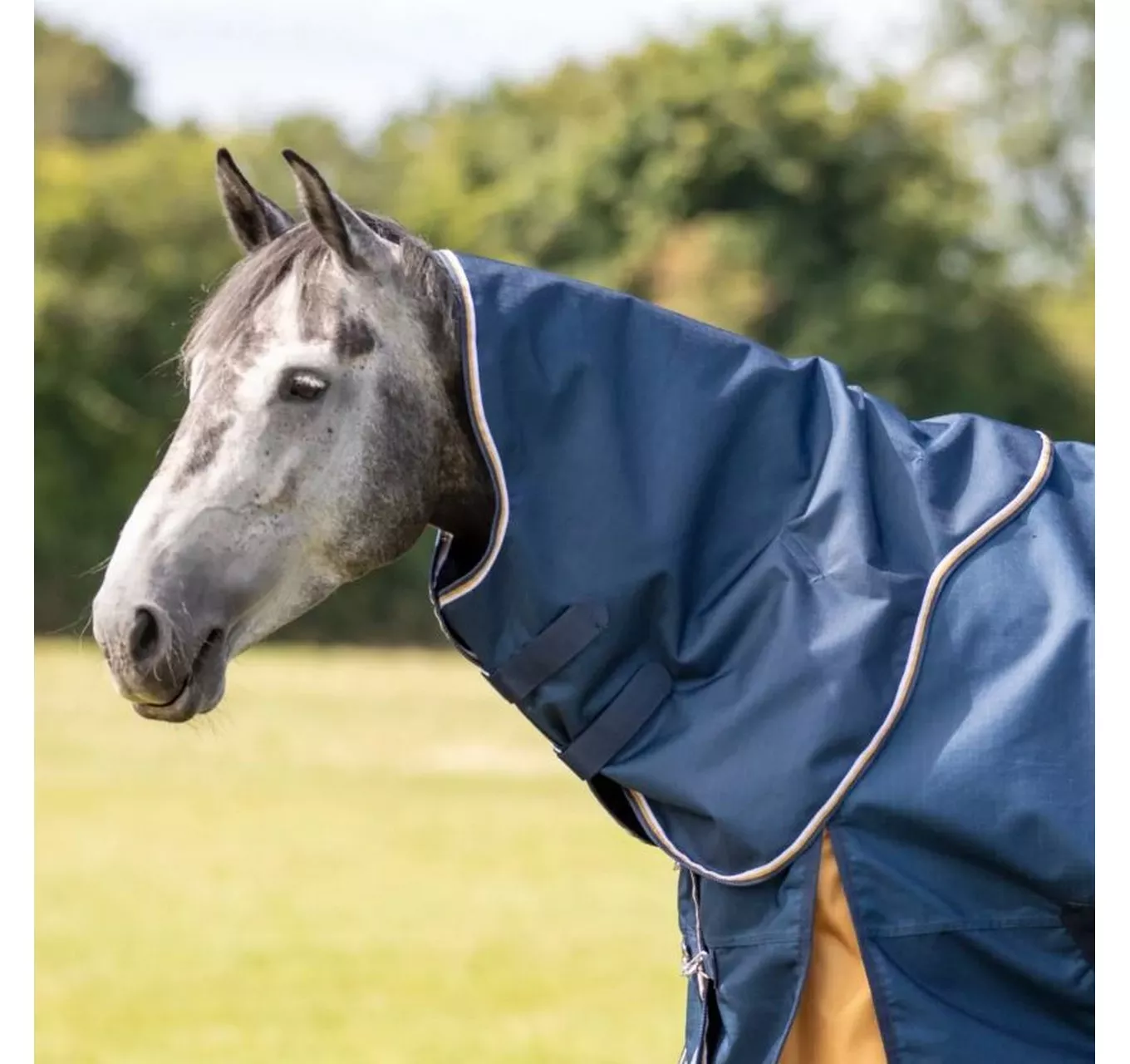 Highlander+ Lite Neck Cover