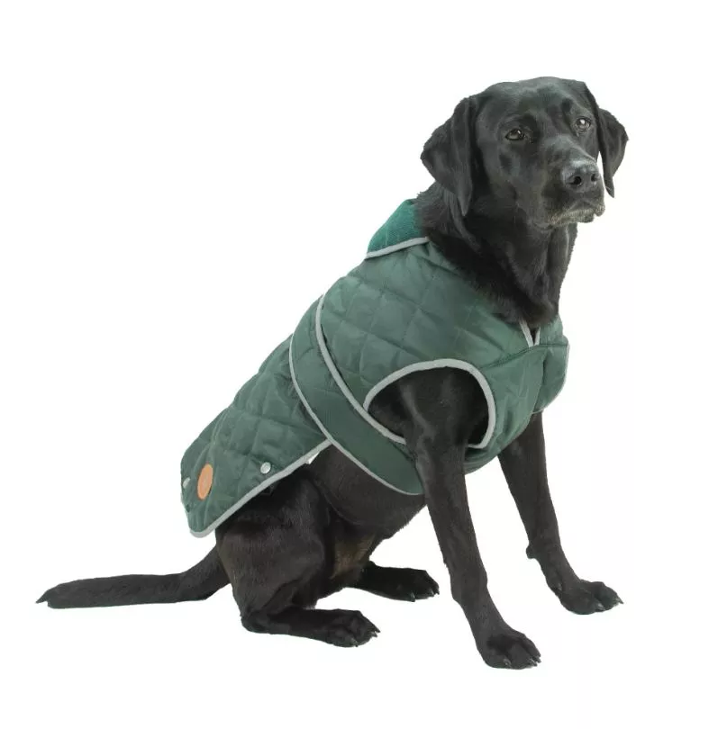 Heritage Green Quilted Dog Coat