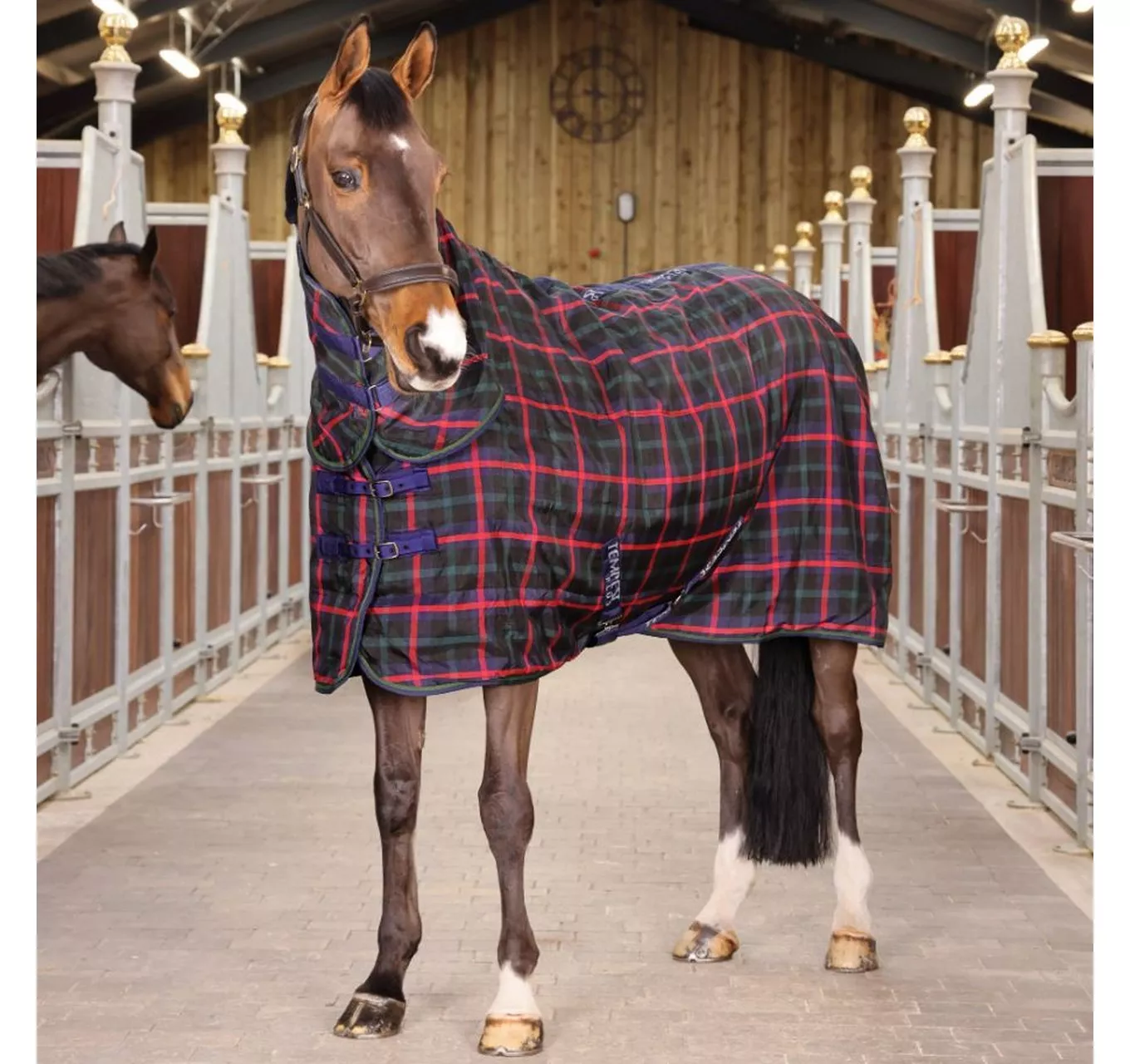 Plus 100 Stable Combo Rug