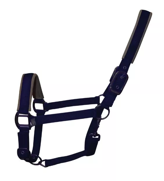 Contour Head Collar