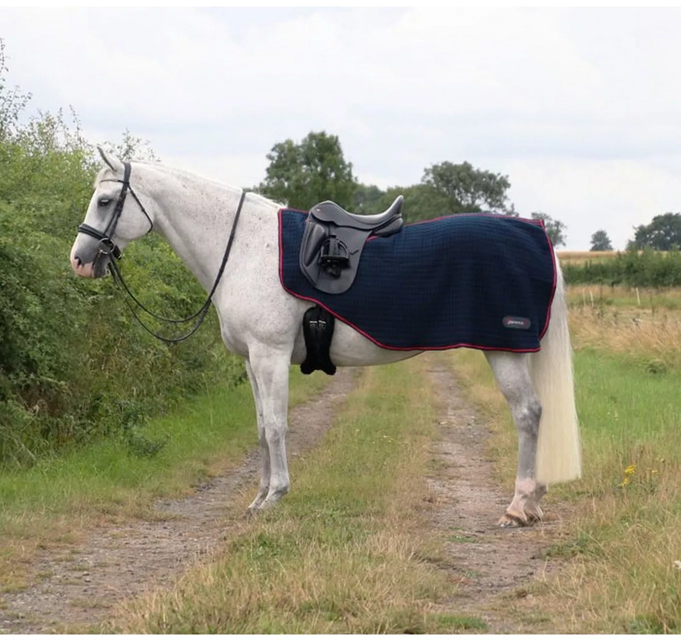 DefenceX Excercise Sheet