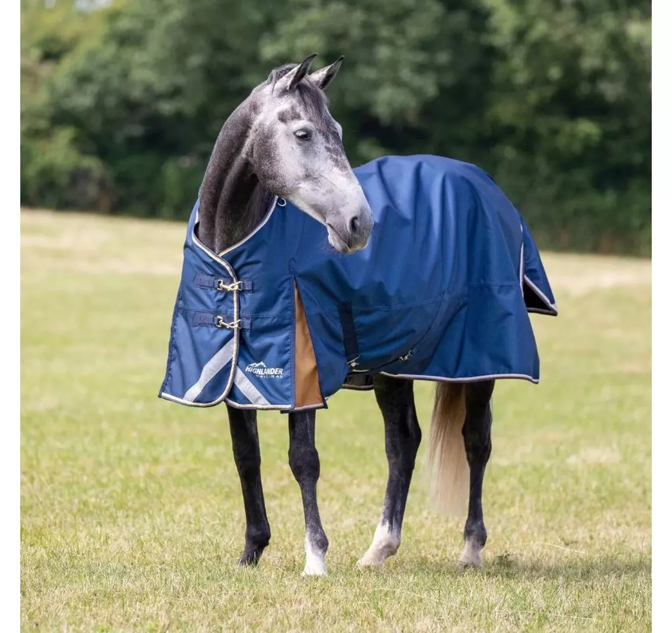 Highlander + Lite Turnout