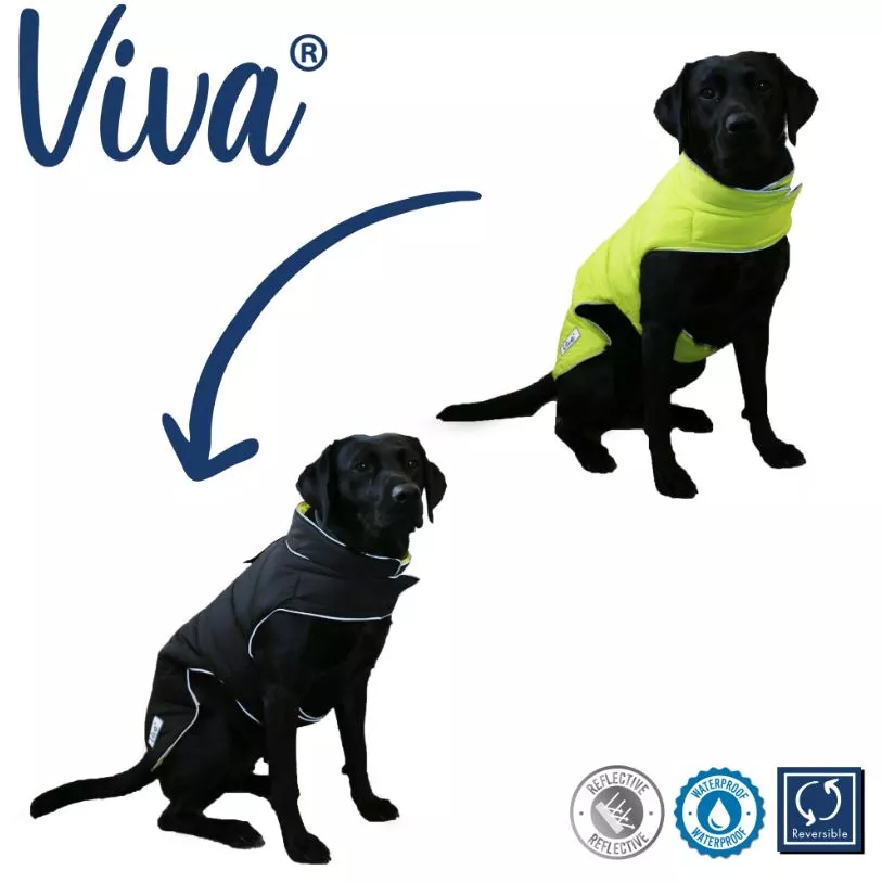 Viva Reversible Dog Coat Black/Hi-Vis L 50cm