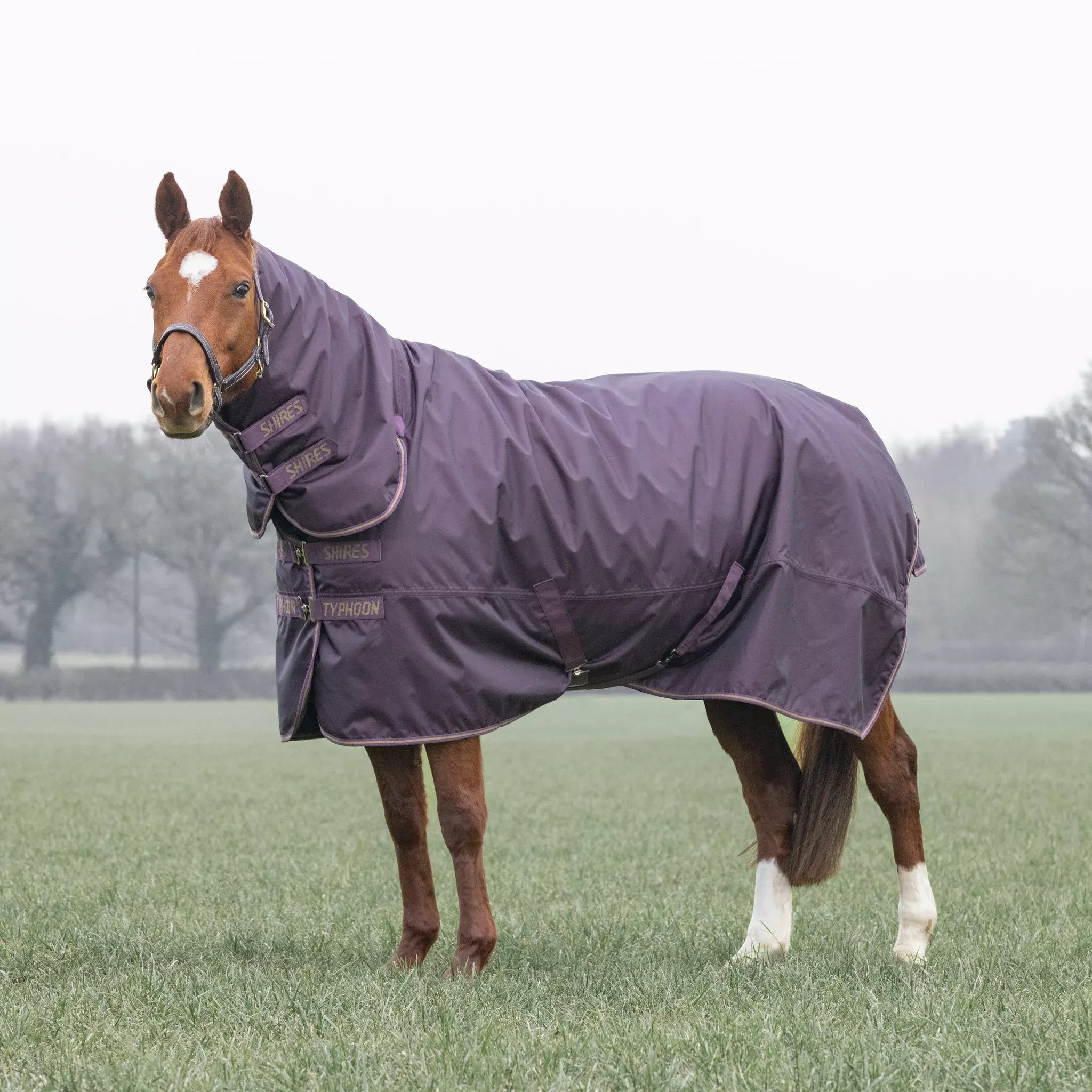 Typhoon 100 Combo Turnout Rug