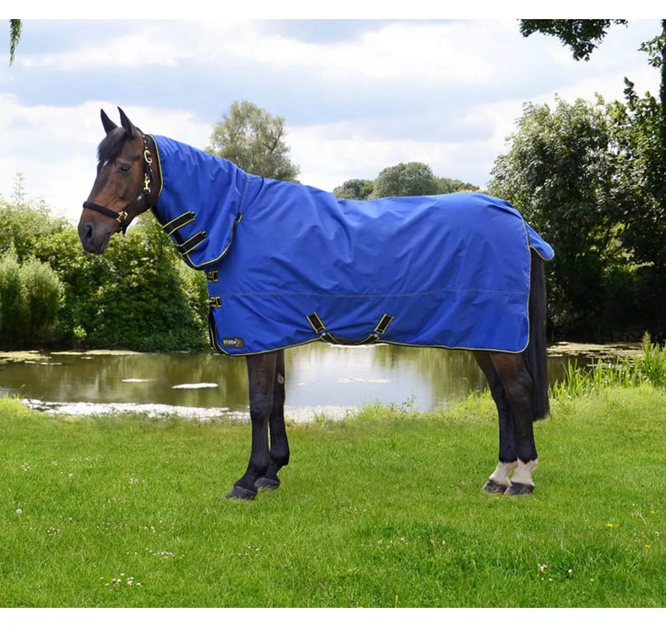 StormX 100 Combi Blue