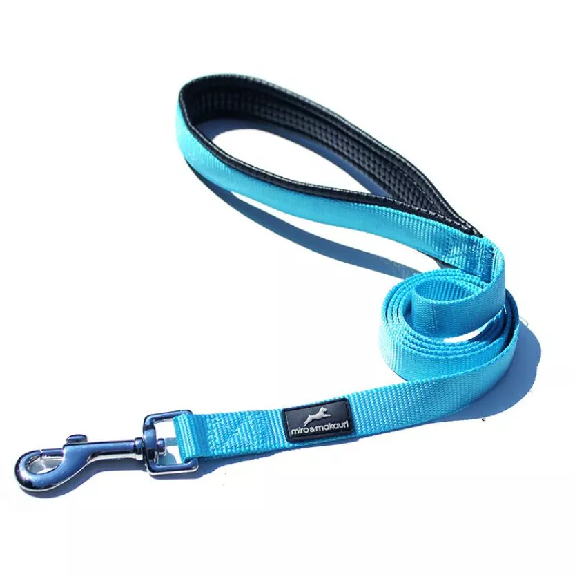 Nylon Lead with Padded Handle