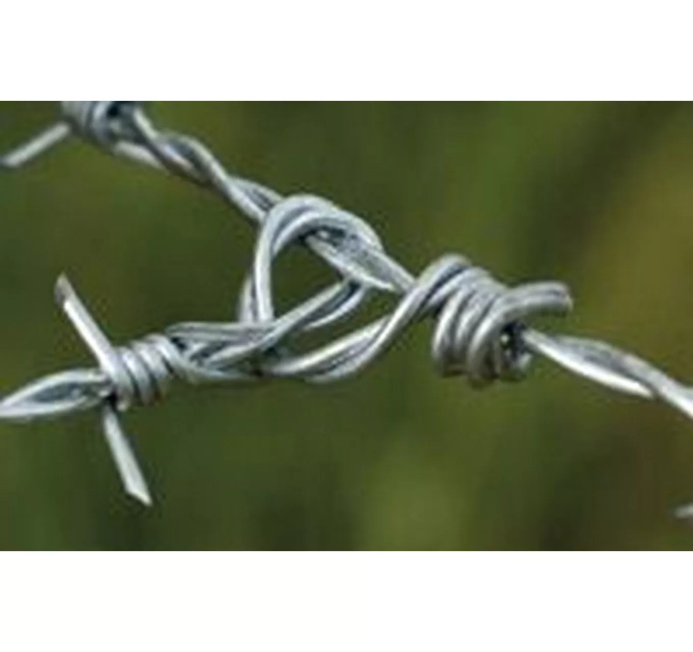 Barbed Wire 2.5mm 200m