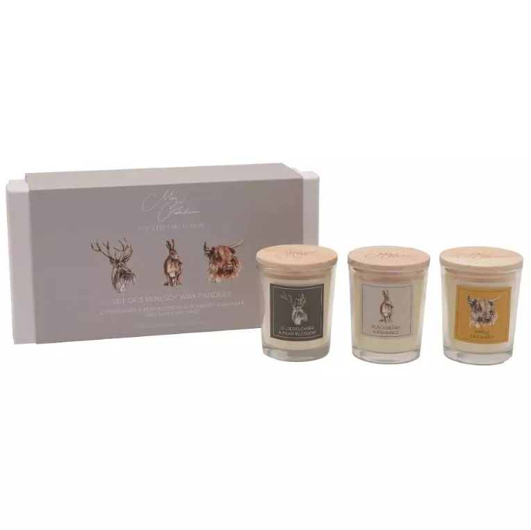 Meg Hawkins "Favourites" Set of 3 Mini Candles 70g