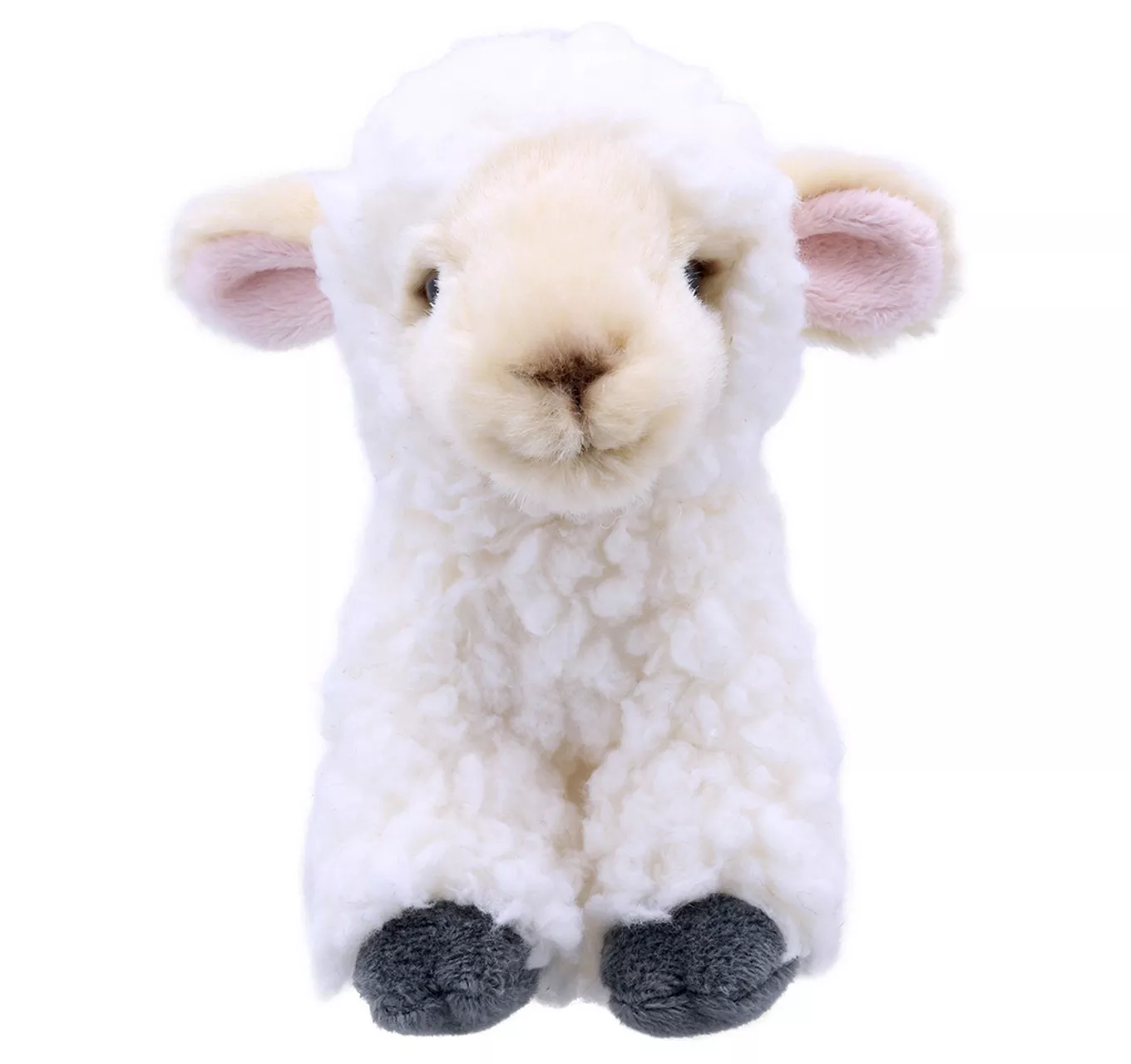 Minis - Lamb