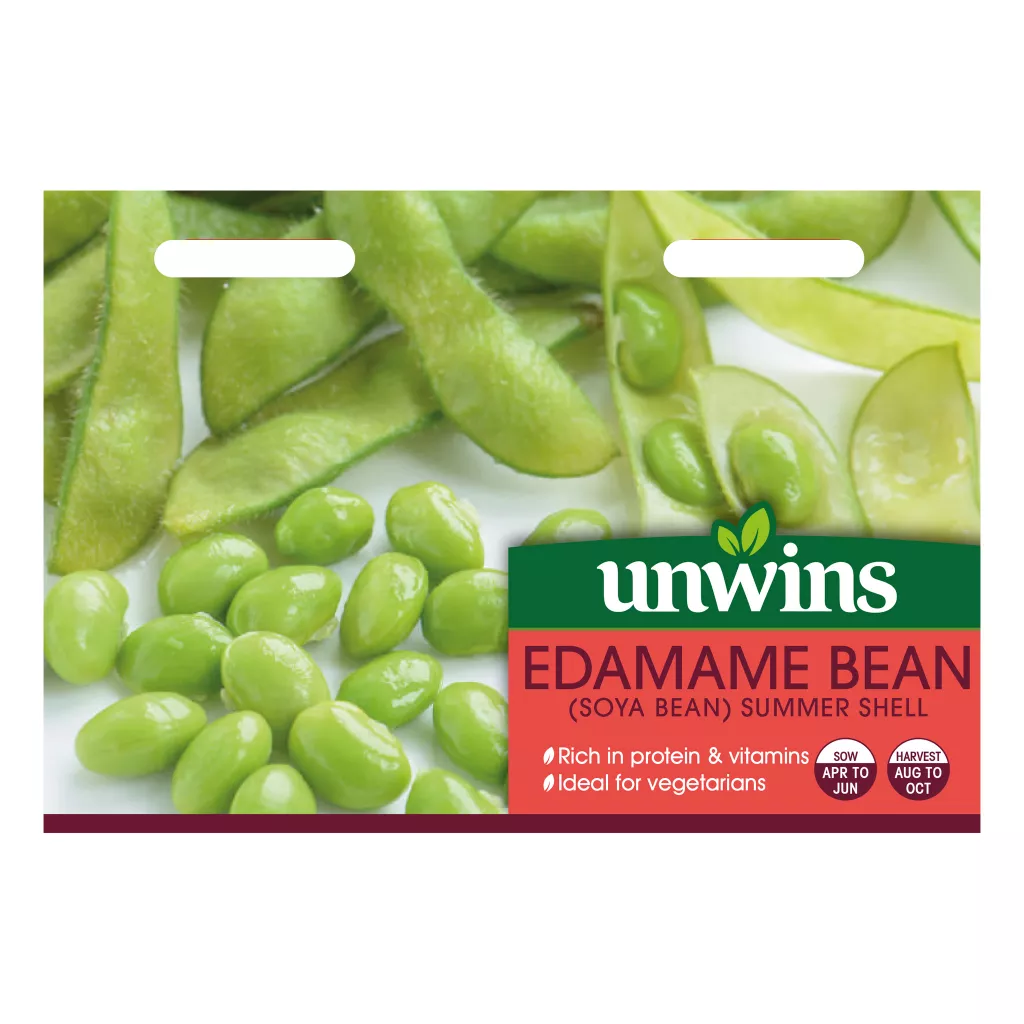 Edamame Bean - Summer Shell
