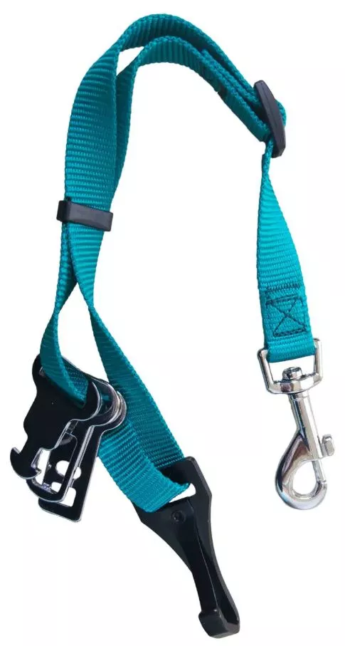 Universal Seat Belt Restraint Teal