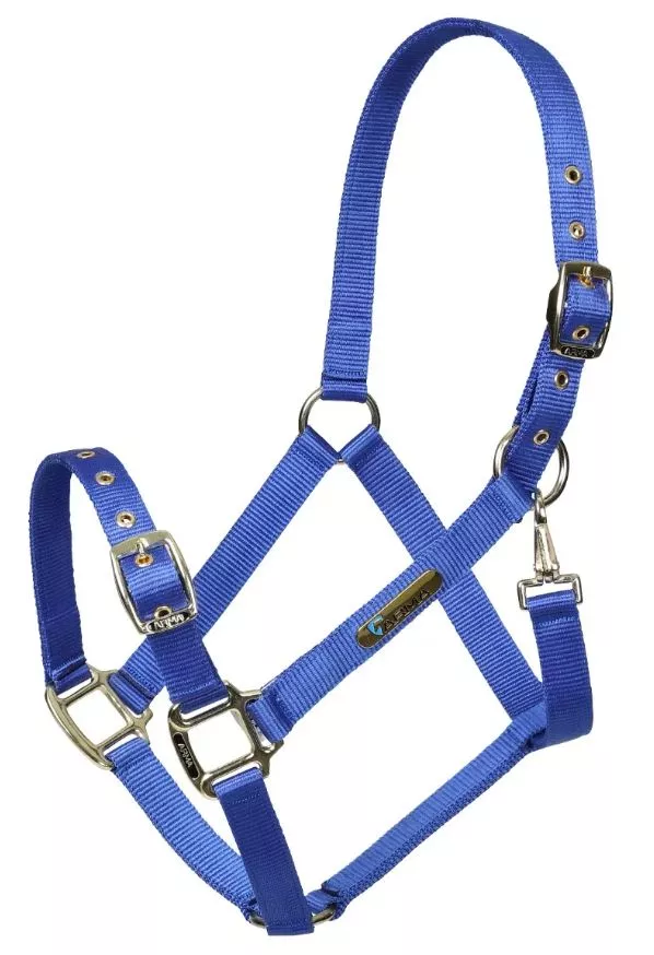 Adjustable Headcollar Blue Pony