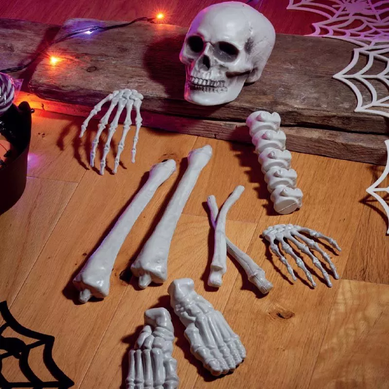Bag of Bones!