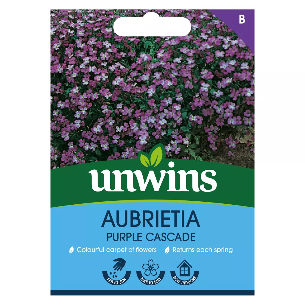 Aubrietia Purple Cascade