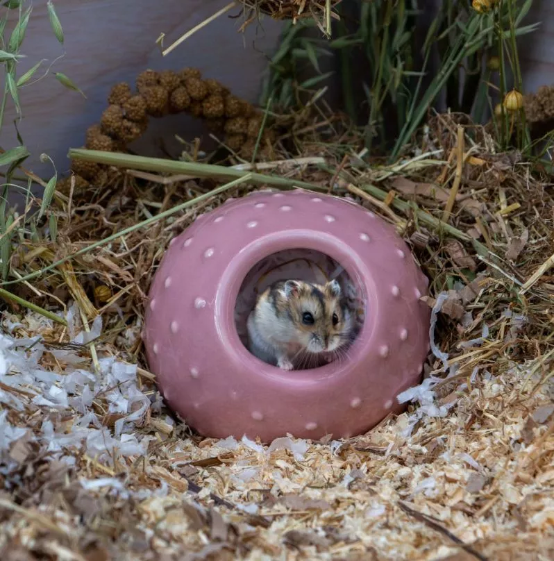 Small Animal Bobble Hide