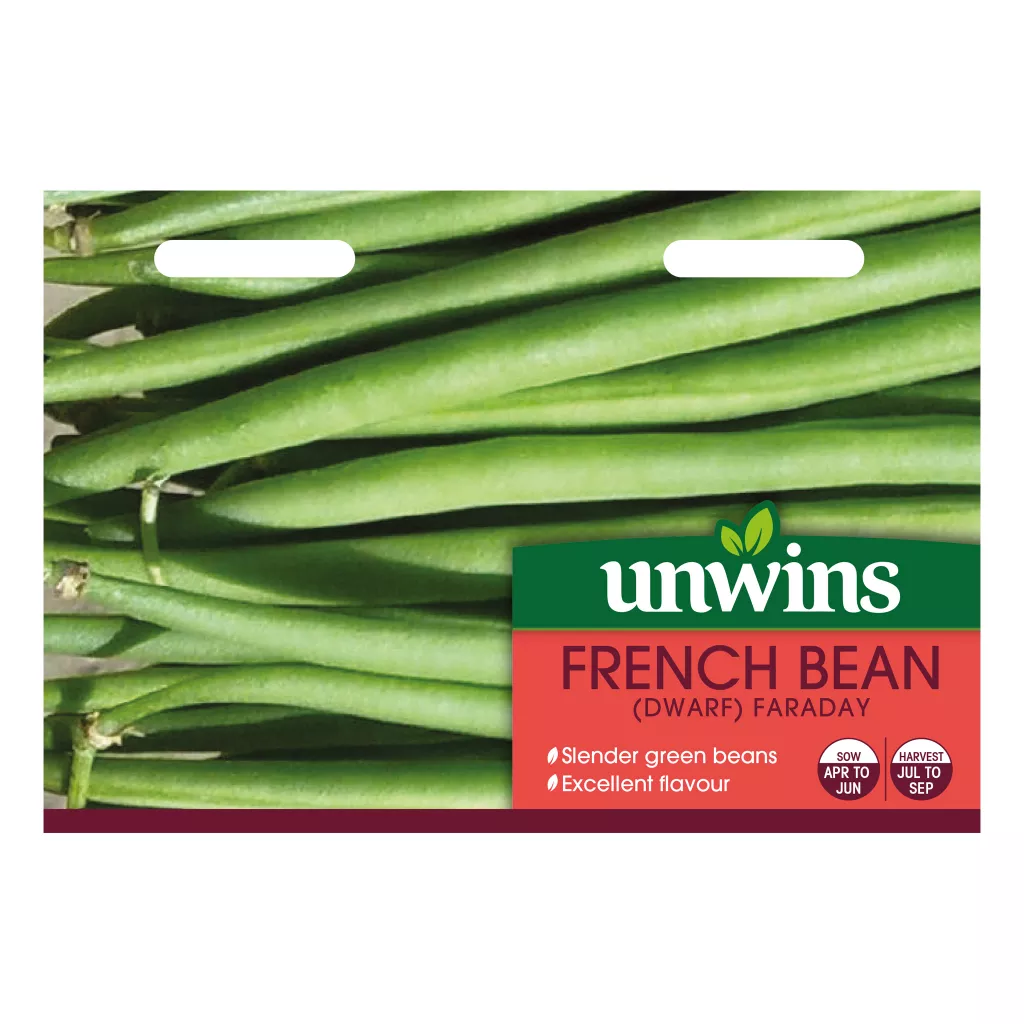 French Bean Dwarf Faraday Flavour Range