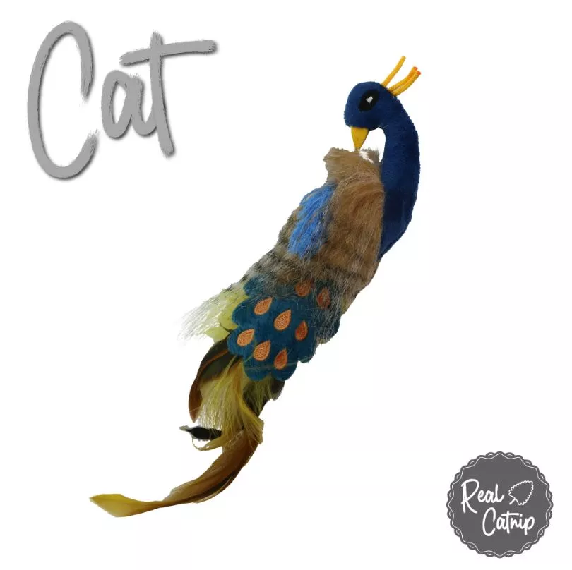 Peacock Cat Toy - Each
