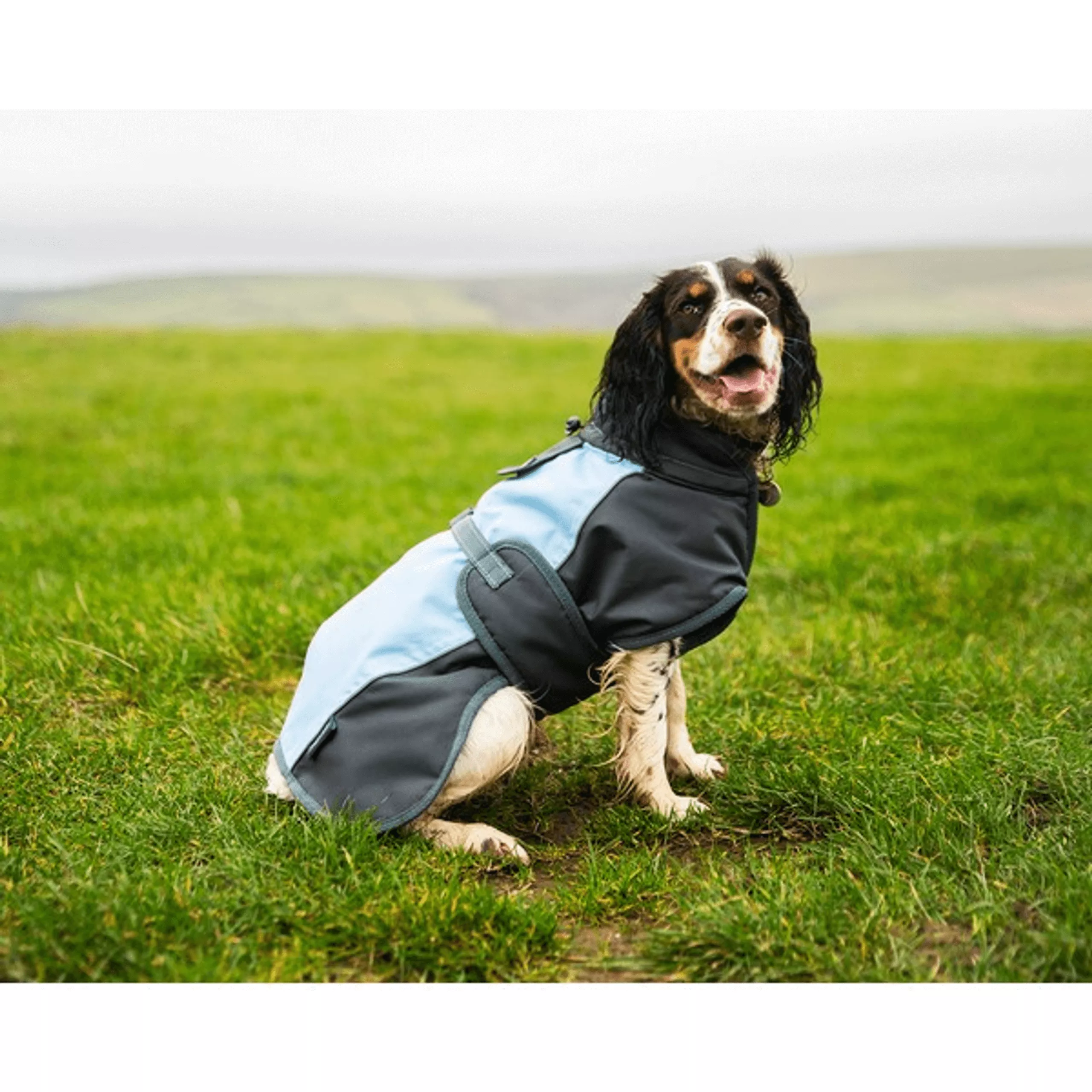 HW W/Proof Dog Coat Med