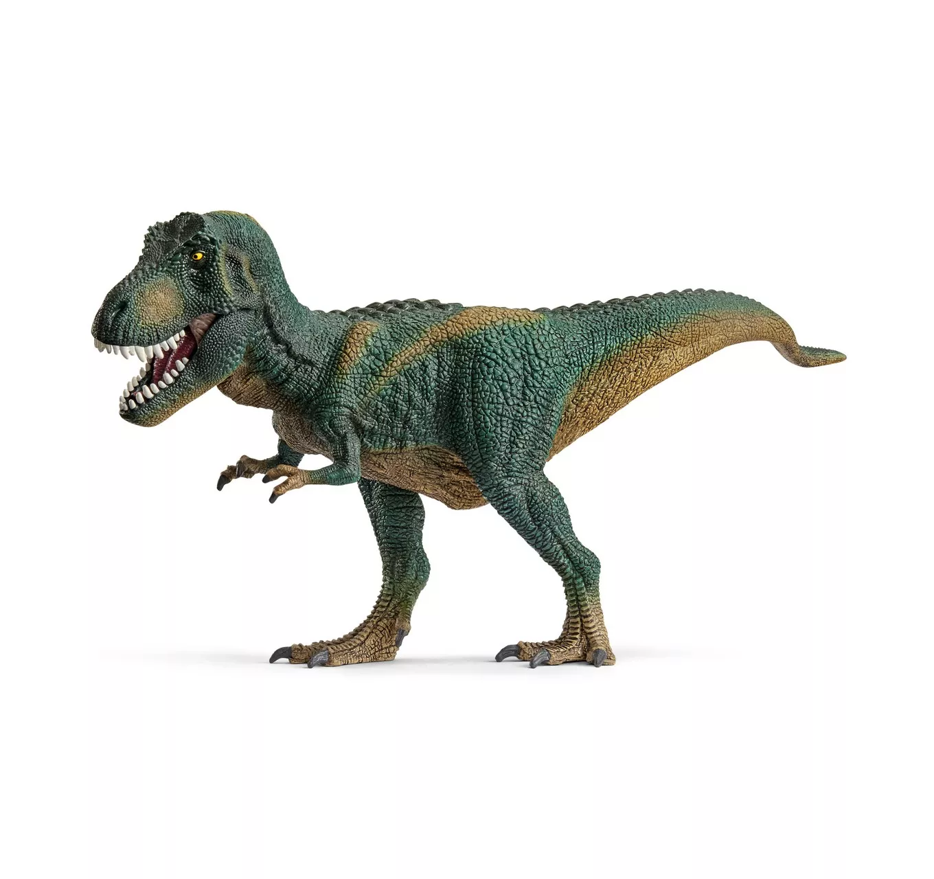 Tyrannosaurus Rex 14587