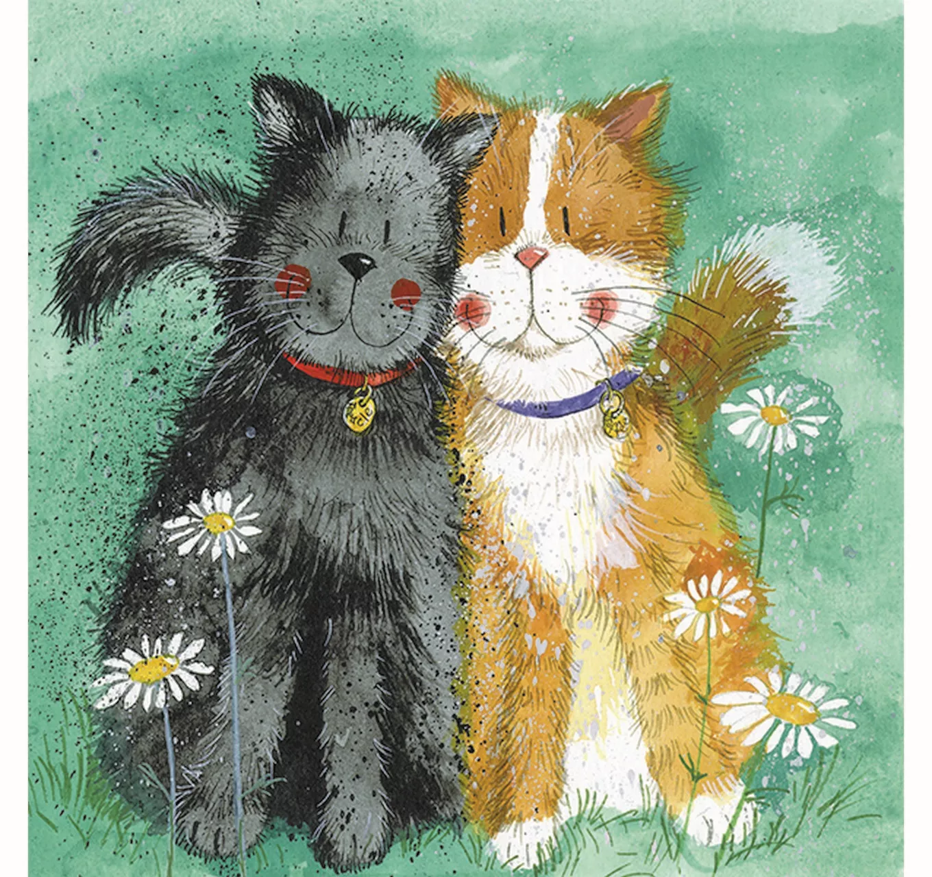 Toffee & Treacle Cat Card