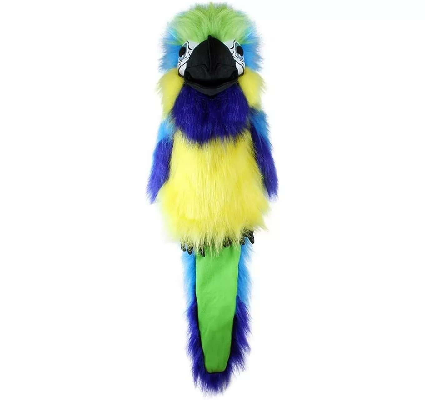 Blue & Gold Macaw - Large