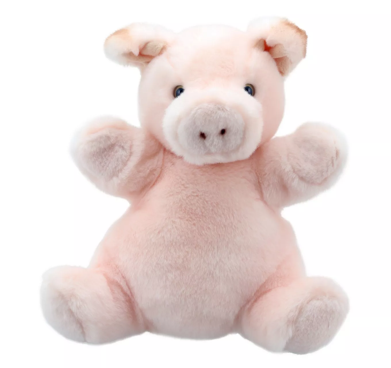Cuddly Tumms Pig