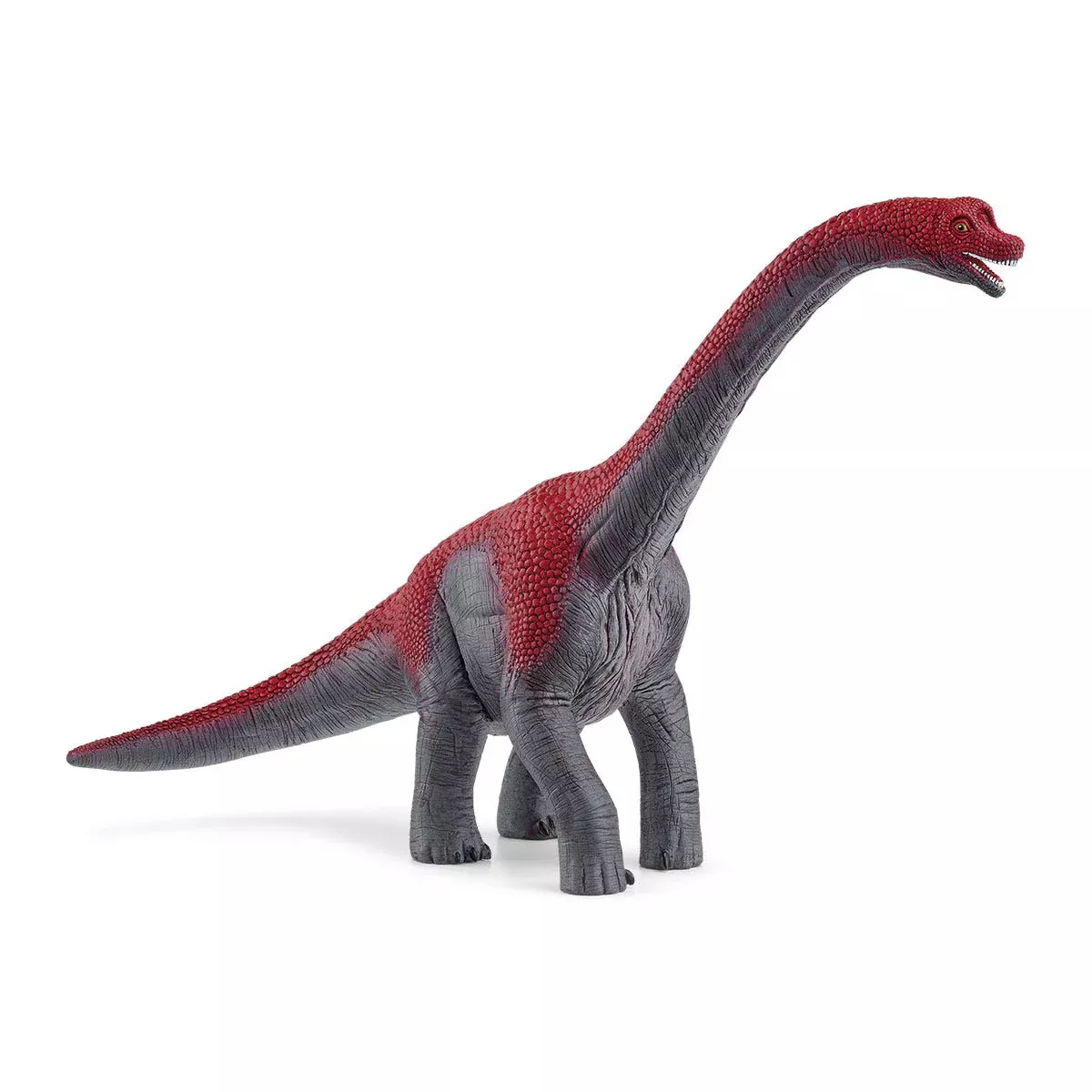 Brachiosaurus 2024