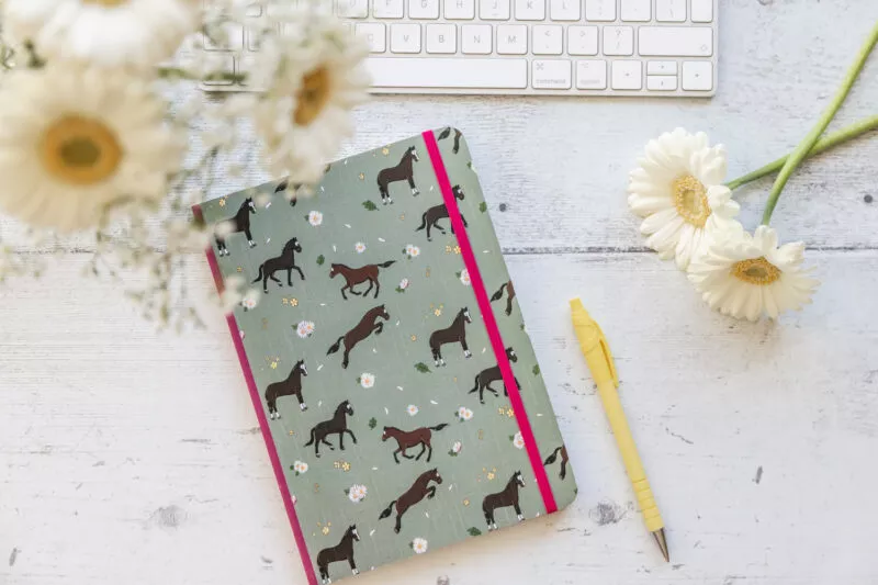 ‘Bay Horse & Daisies’ Softcover Notebook