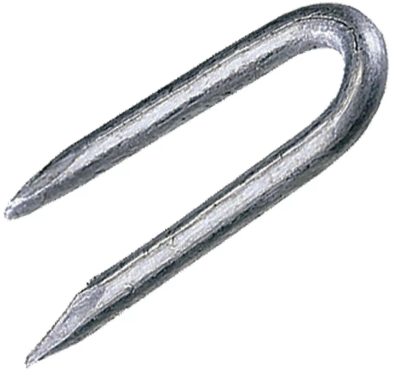 Staples 3.55x30mm 500g