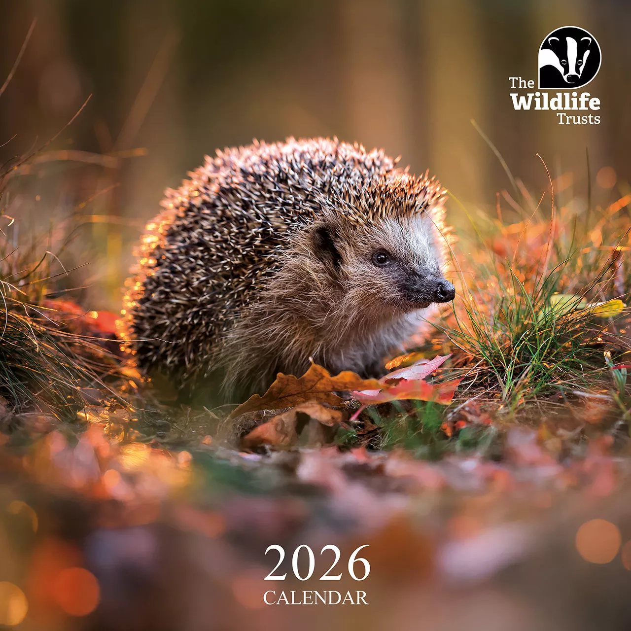 Wildife Trust Calender 2026