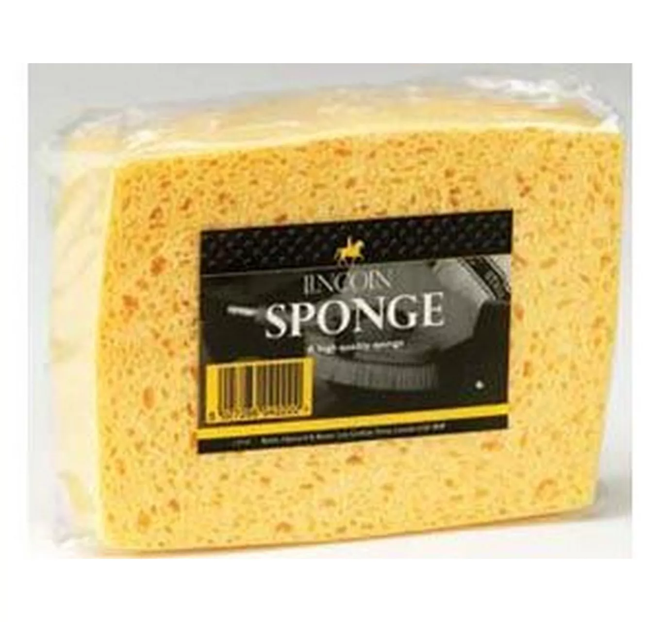 Sponge Lincoln