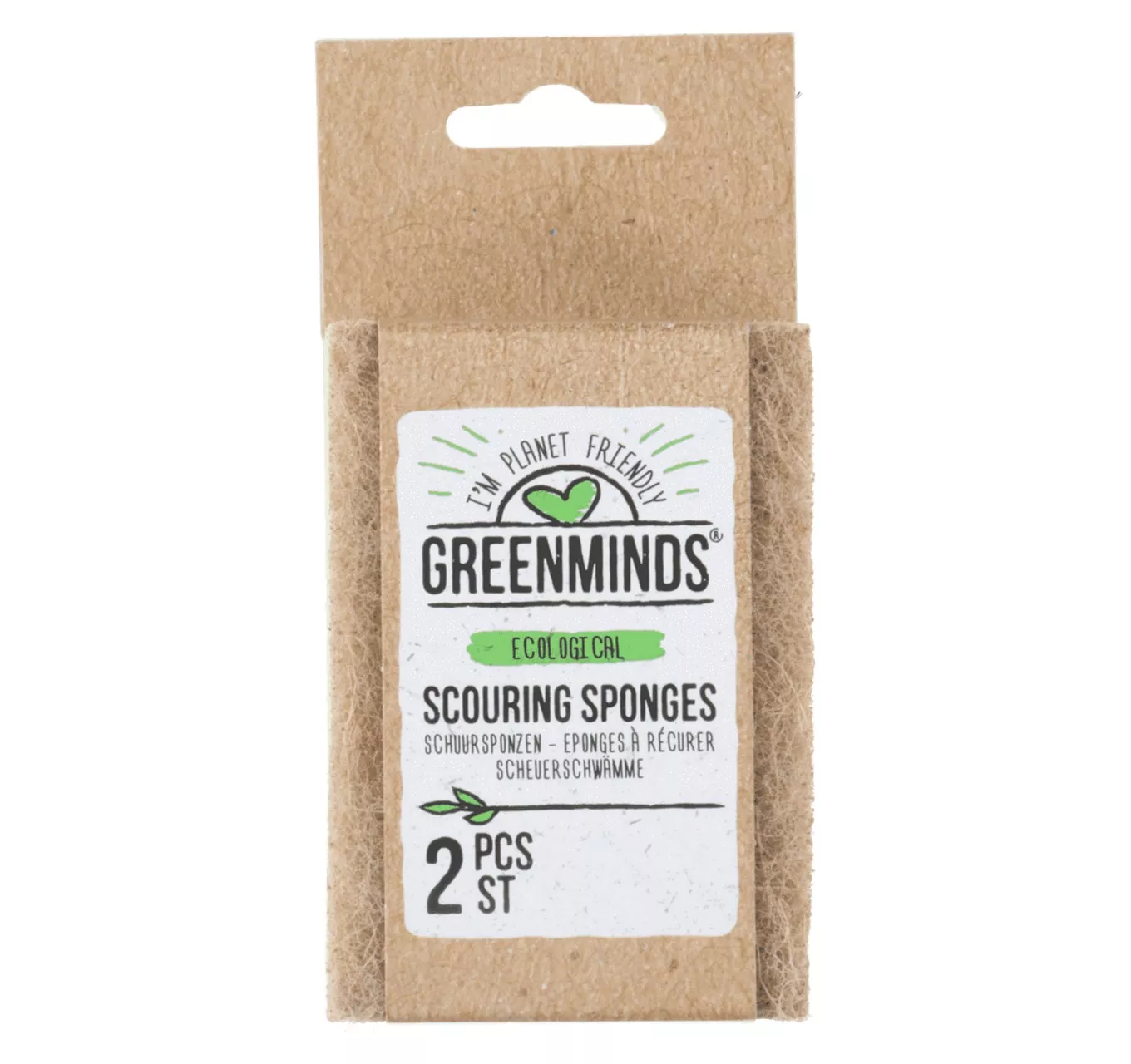 Greenminds Scouring Pad 2pk