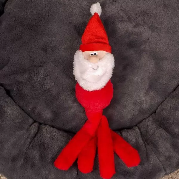 Santa Dogtopus