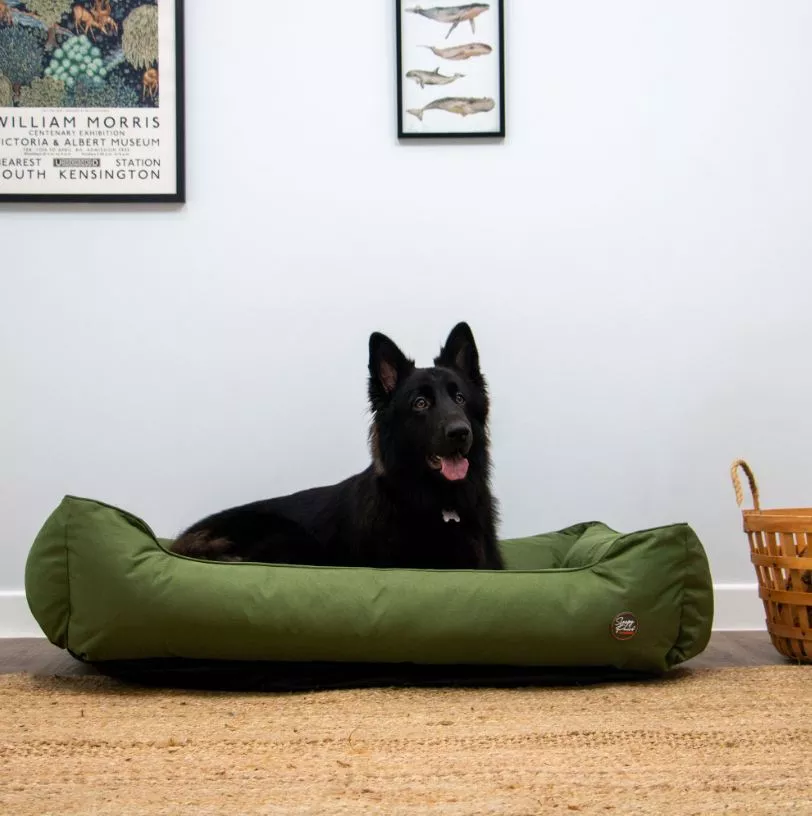 Oxford Square Bed Green 78 x 90cm