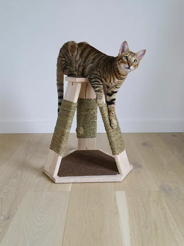 Caraway Natural Cat Scratcher