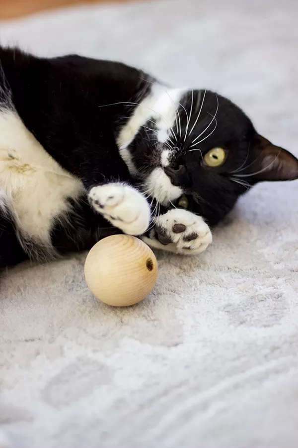 Catnip Wooden Ball - Each