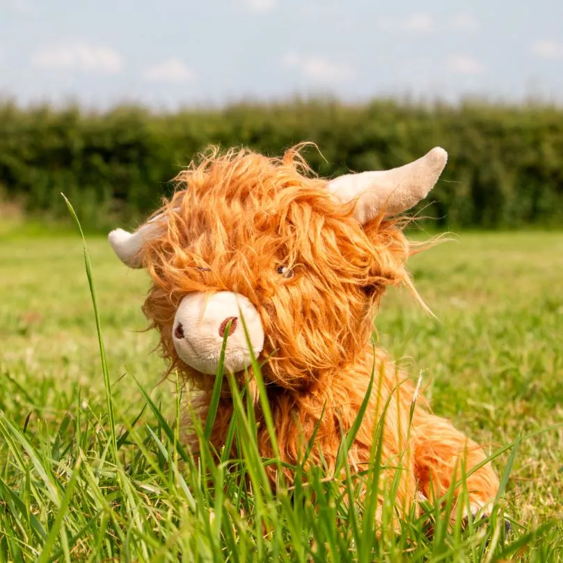 Heritage Fergus The Highland Cow
