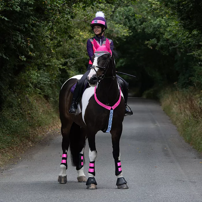 Hi Vis Neck Band Pink FS