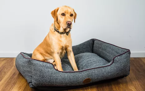 Edinburgh Rectangle Bed M
