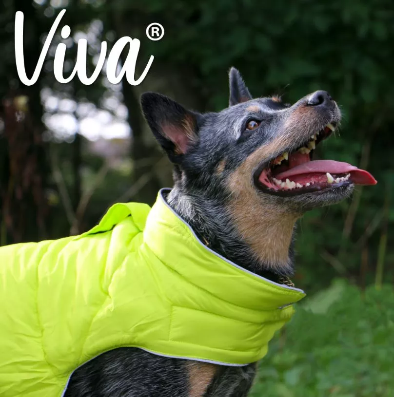 Viva Reversible Dog Coat Black/Hi-Vis L 50cm