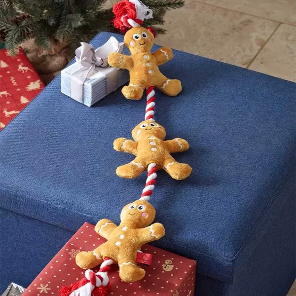 Xmas Tugga Gingerbread