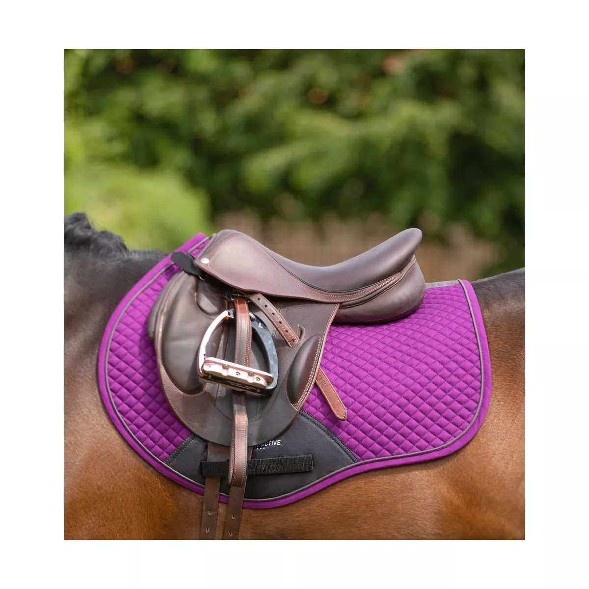 Active Close Contact Saddle Pad Purple Full