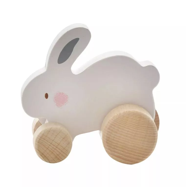 Bambino Wooden Toy Push Animals - Each