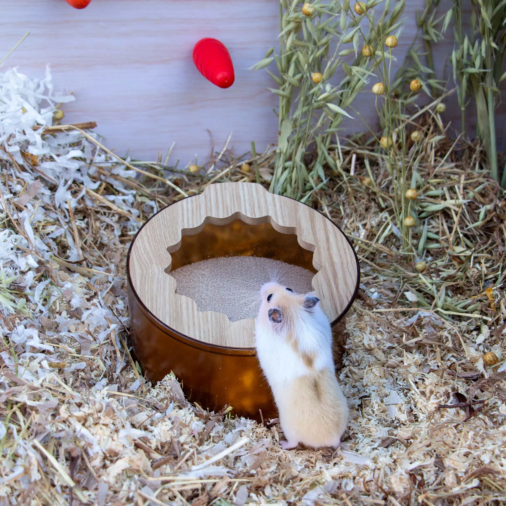 Sand Bath & Dig Box