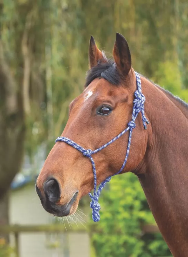 Rope Control Headcollar Navy/White