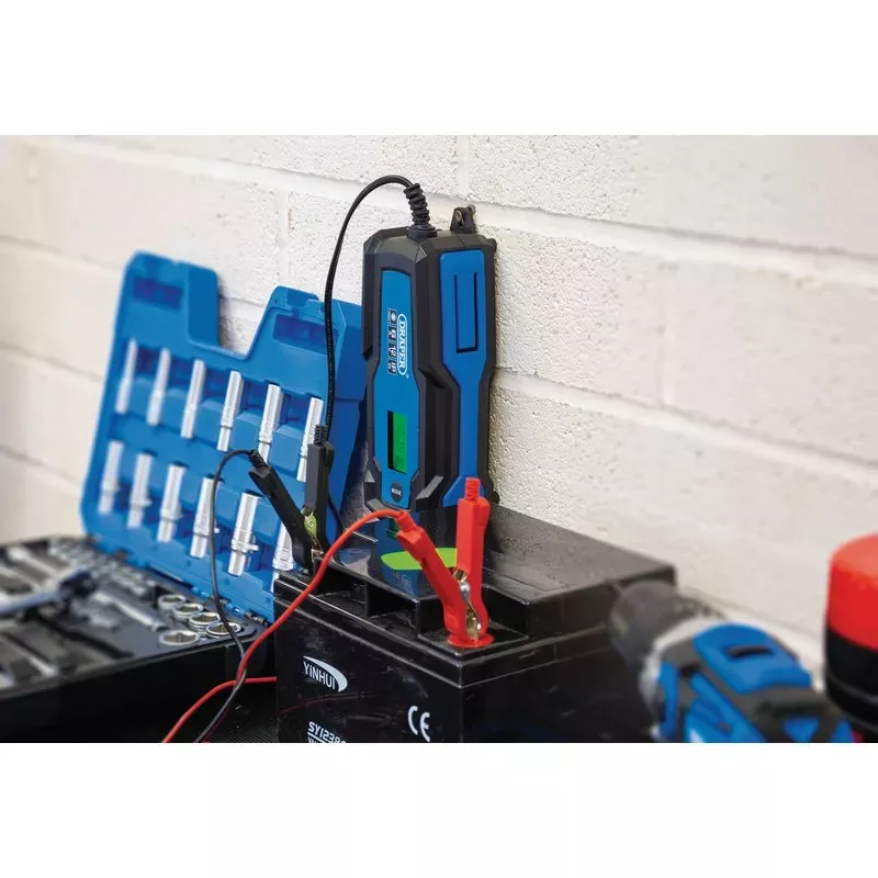 Smart Charger & Battery Maintainer 6/12v 6A