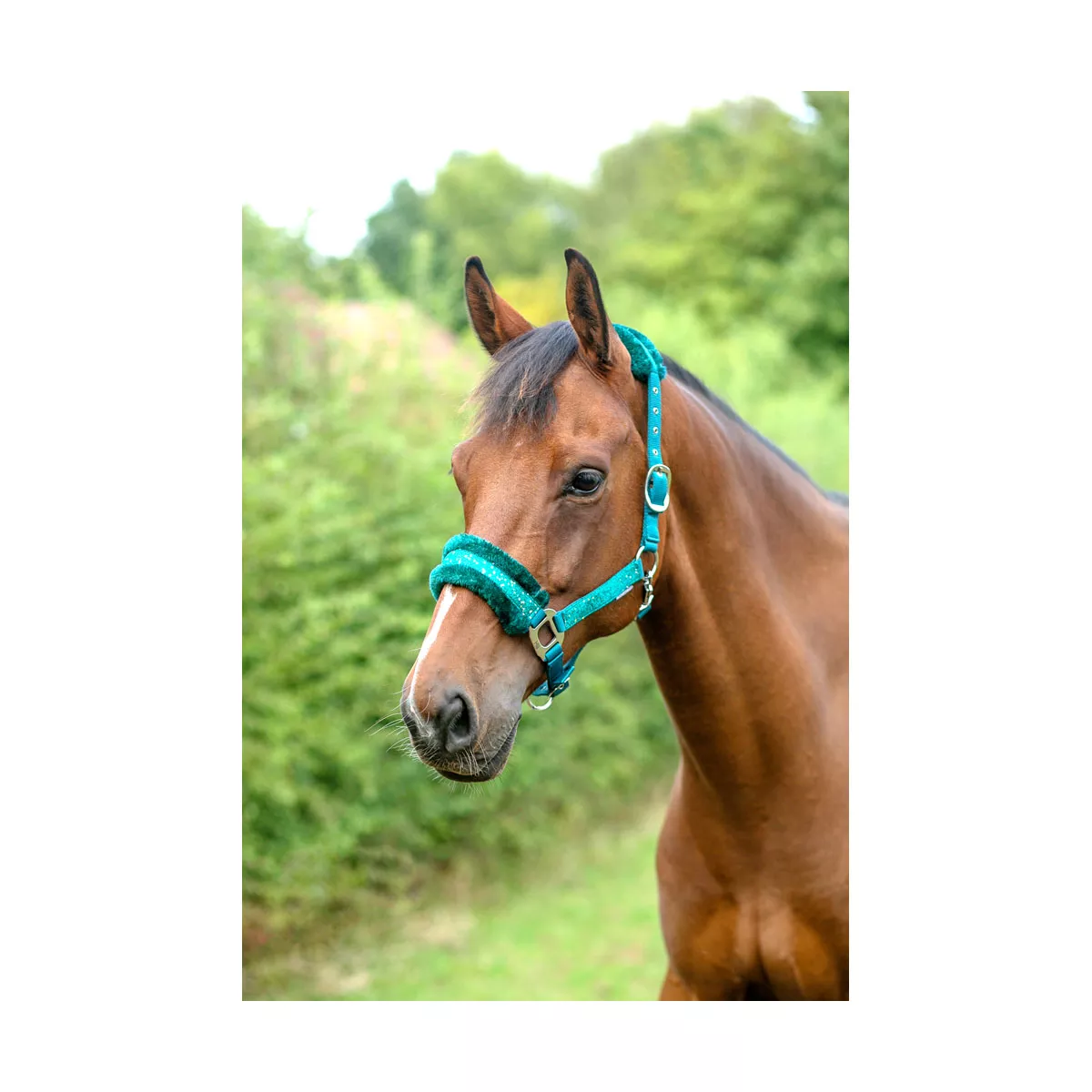 Dazzle Head Collar Alpine Green Small Pony