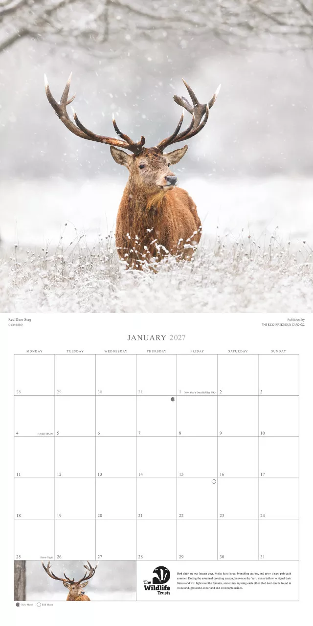 Wildife Trust Calender 2026